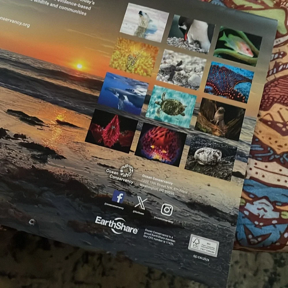 Ocean Wildlife Calendar 2026
